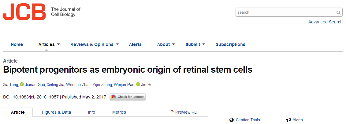 1531996953314661x3B9.png 85.png