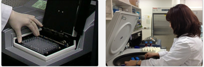 1532050559653519wsG7.png 圖片151.png